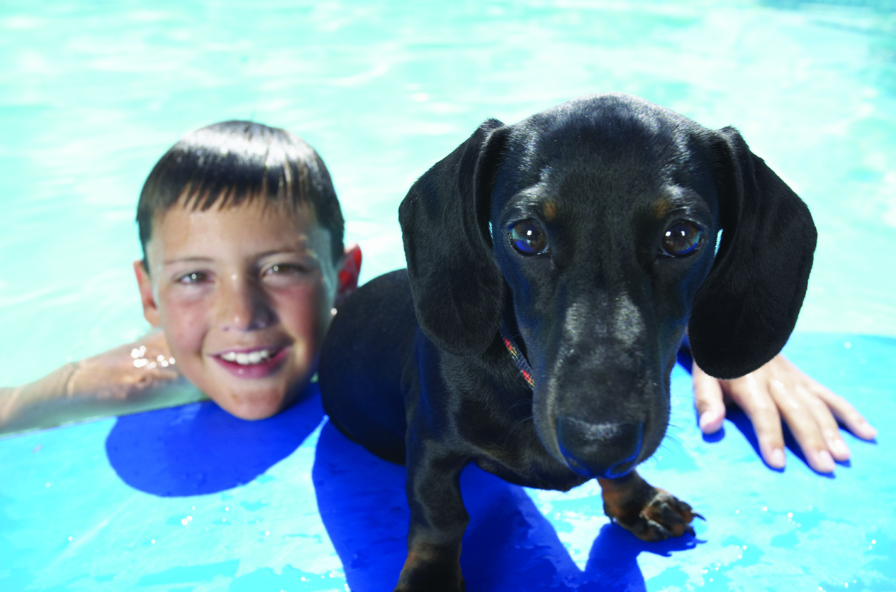 Do all dogs love to swim?ng - Cover Image