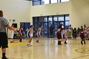 Diamondbacks slither past Lady Cougarsng - Cover Image