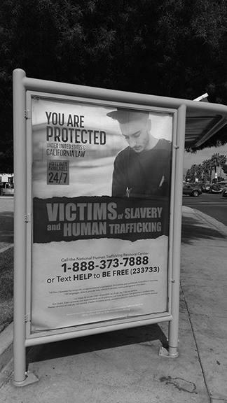 Human sex trafficking in the San Jacinto Valley - Cover Image