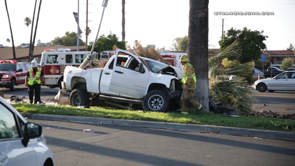 Possible DUI collision shears light pole, palm  - Cover Image