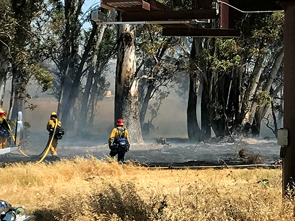 Firefighters contain brush fire near Hemet West - Cover Image