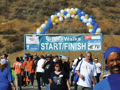 Local NAMI Walk a huge successng - Cover Image