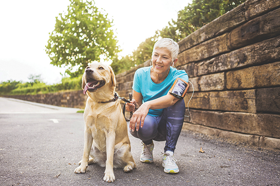 Prevent lost pets with these simple tipsn - Cover Image